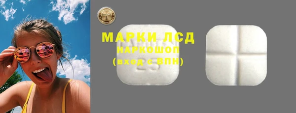 прущие грибы Аркадак