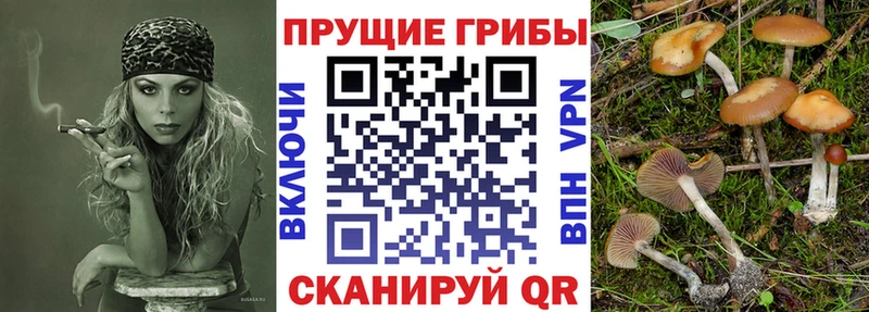 где можно купить наркотик  Красноуфимск  Псилоцибиновые грибы ЛСД 
